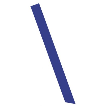 Blank Ribbon Sash
